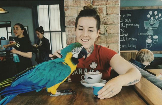 O bom filho à casa torna