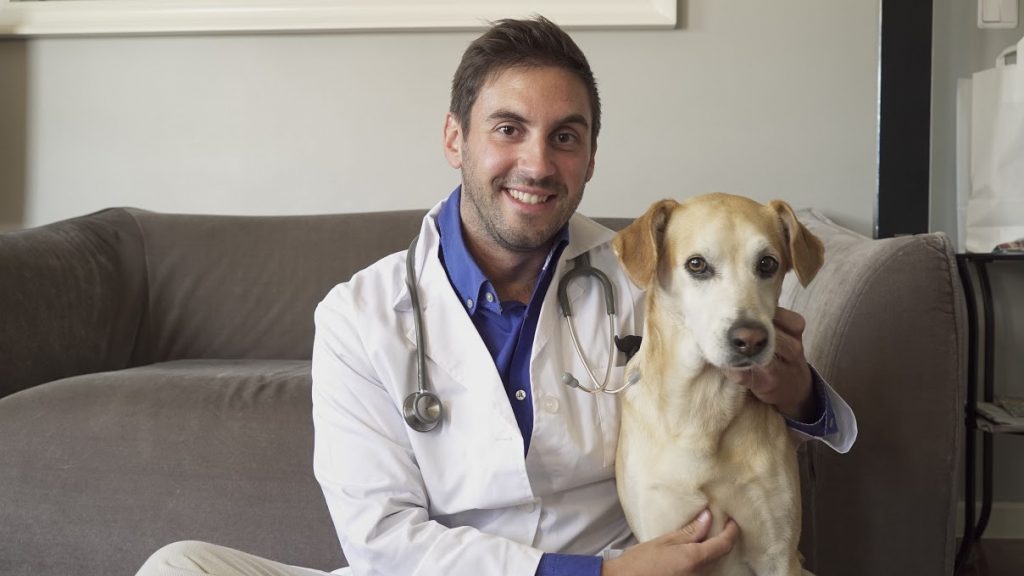 O êxito da 'start up' dos veterinários que vão a casa