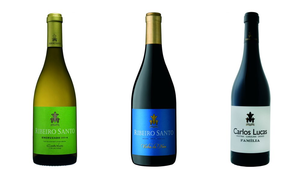 O fascínio do Dão nos vinhos Ribeiro Santo