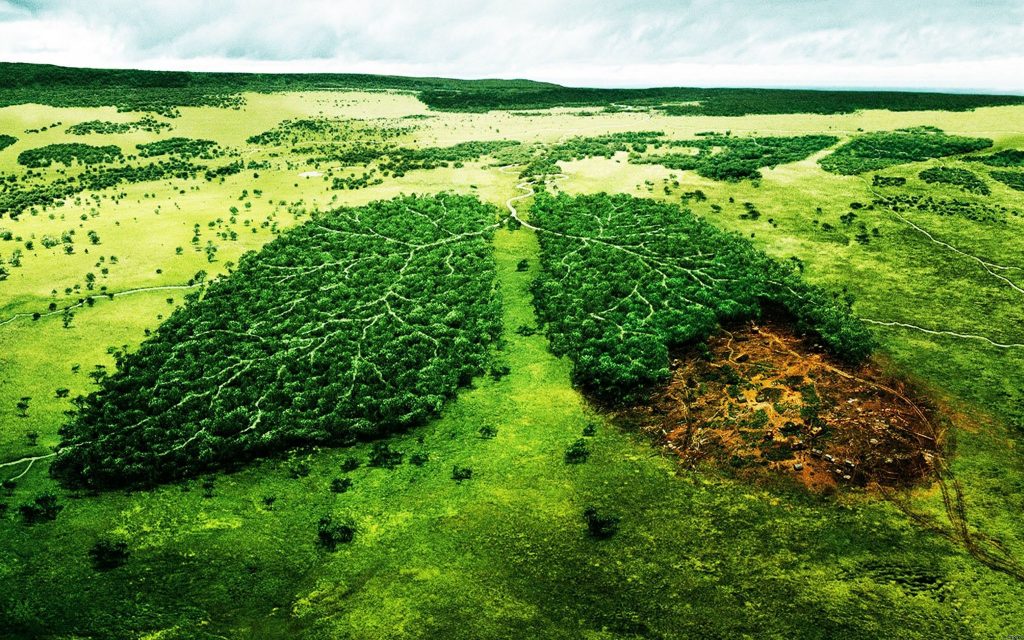 O Fórum do Futuro dura sete dias e vai perguntar: Que futuro para nosso planeta? Sete pontos sobre o que não pode perder