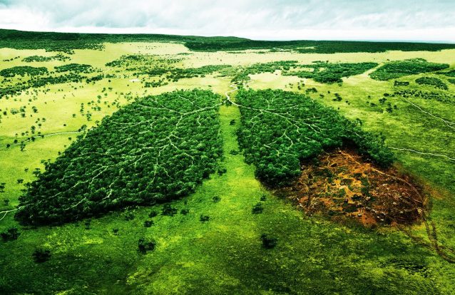 O Fórum do Futuro dura sete dias e vai perguntar: Que futuro para nosso planeta? Sete pontos sobre o que não pode perder