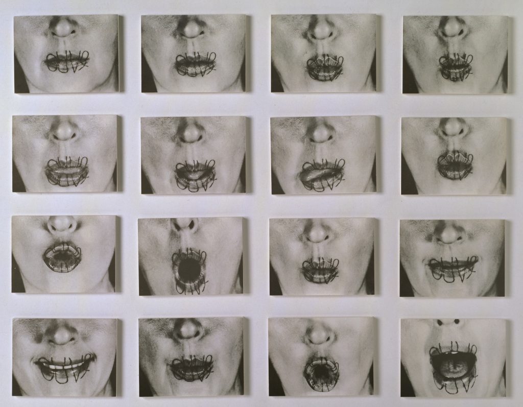 'O Fotógrafo Acidental': a fotografia como meio para a arte