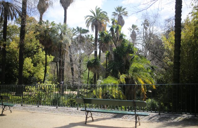 O Jardim Botânico de Lisboa reabriu (ainda) mais verde