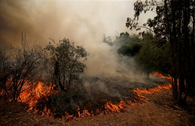 O leite é um antídoto do monóxido de carbono. Mito ou realidade?