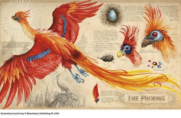 O livro 'Harry Potter e a Câmara dos Segredos' ganhou uma versão ilustrada