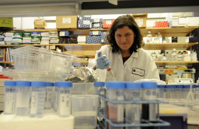 O melhor doutoramento do mundo