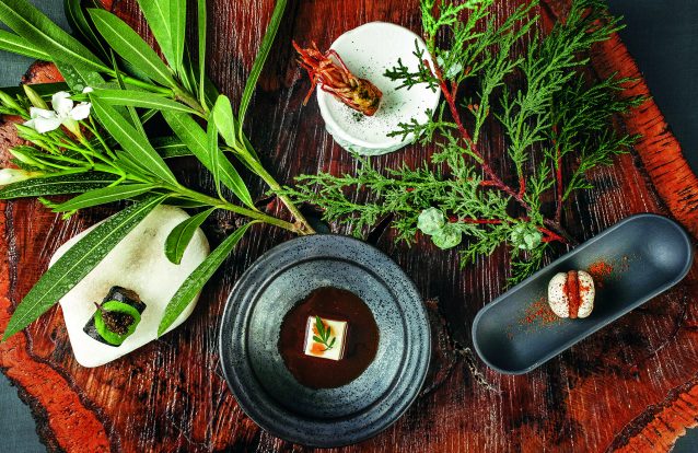 O Midori, em Sintra, é como um parque de diversões