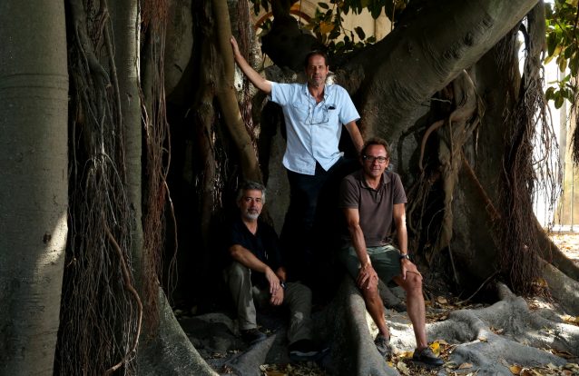 O mundo mágico dos ilustradores científicos