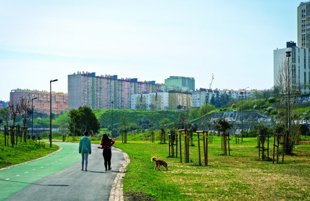 O Vale da Montanha, em Lisboa, é uma ilha de sossego rodeada de urbanidade
