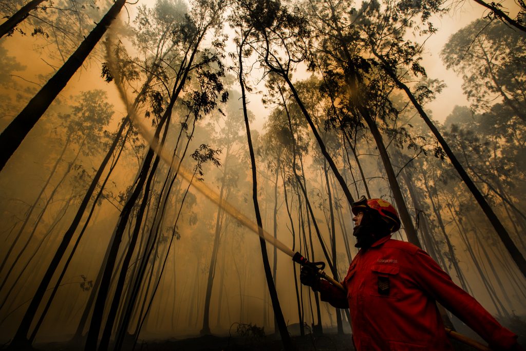 Onda solidária para ajudar bombeiros e vítimas dos incêndios