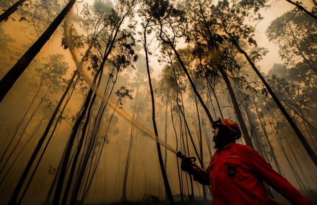 Onda solidária para ajudar bombeiros e vítimas dos incêndios
