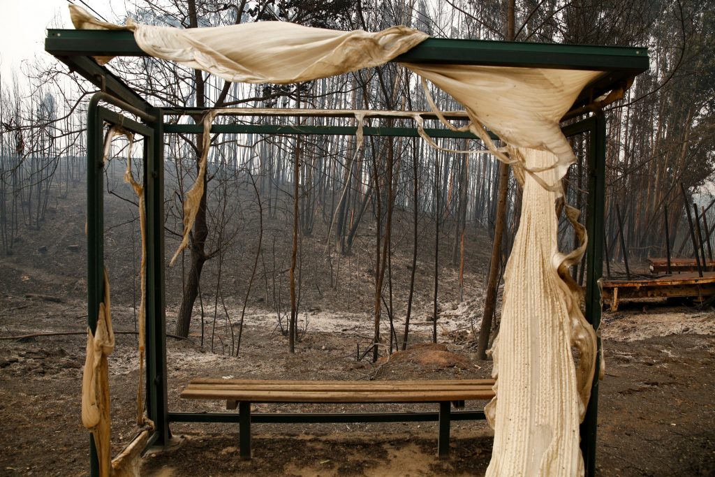 "Opções táticas" tomadas contribuíram para mortes em Pedrógão Grande