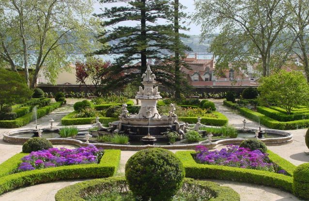 Orquídeas, bromélias e bonsais na Festa da Primavera