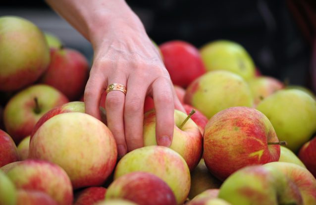 Para o peso não aumentar com os anos, fixe esta palavra: 'flavonoides'