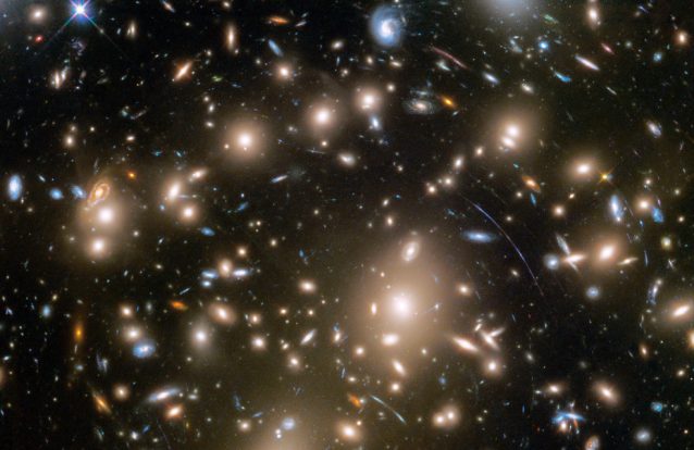 Parecem estrelas, não parecem? Mas não são