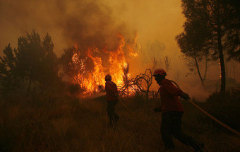 Pena máxima para incendiários pode chegar à Assembleia da República
