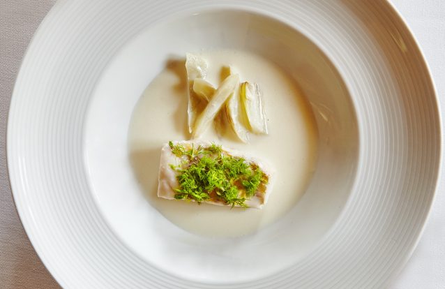 Pescada escalfada em creme de funcho, por Vítor Claro
