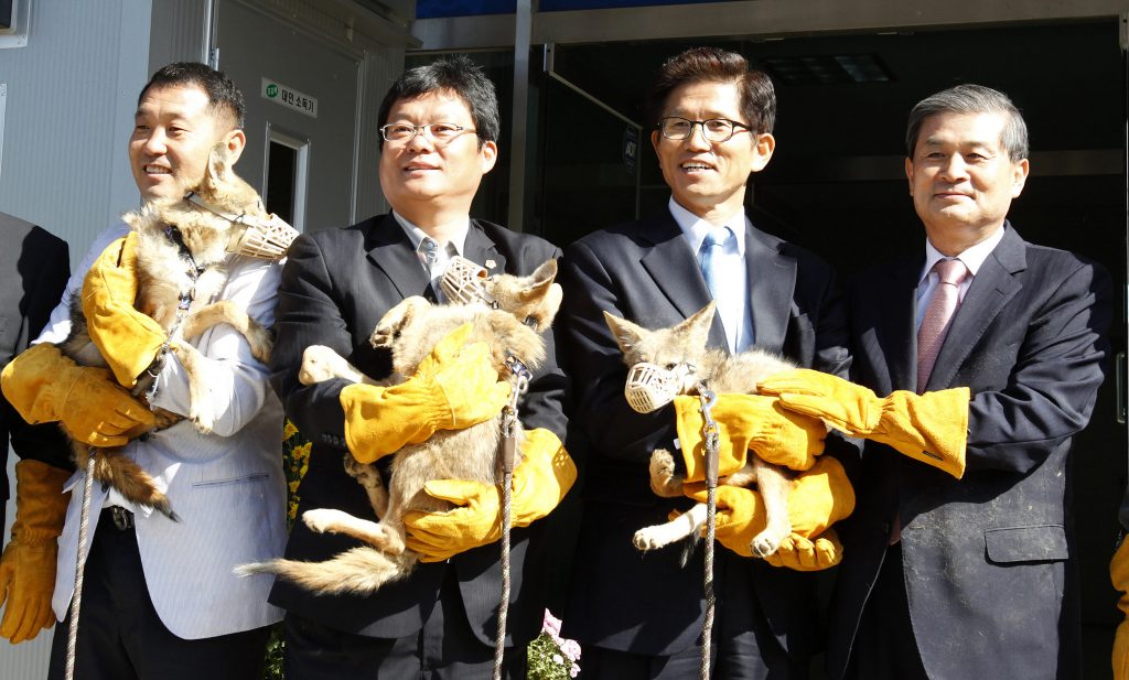 Polémico cientista sul-coreano faz fortuna a clonar animais