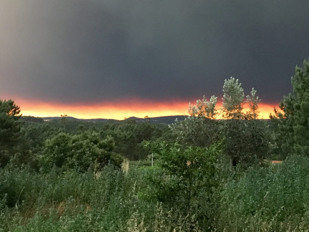 Polícia Judiciária afasta origem criminosa de incêndio. Um raio atingiu uma árvore