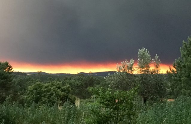 Polícia Judiciária afasta origem criminosa de incêndio. Um raio atingiu uma árvore