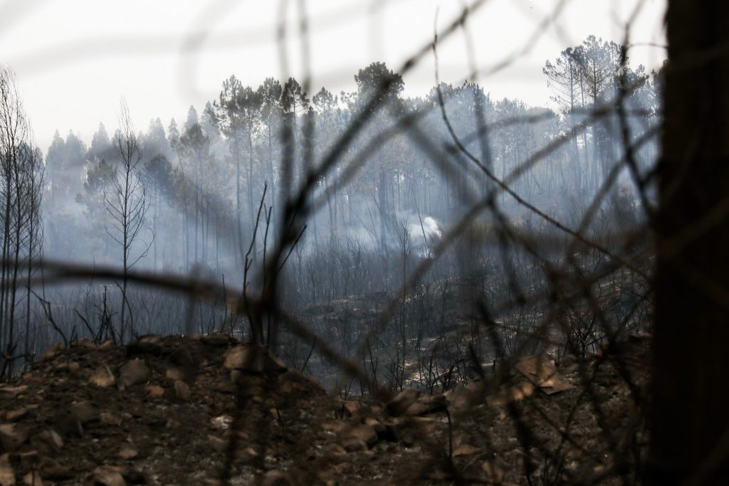 Polícia Judiciária nega tese de mão terrorista nos incêndios