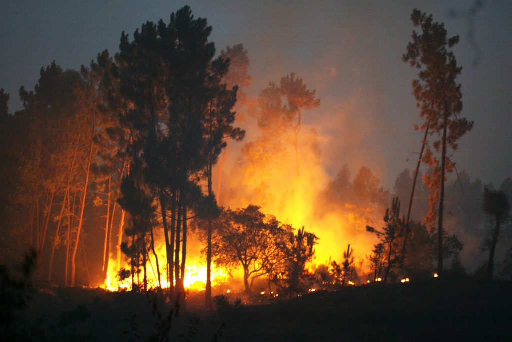 Portugal terá pago três vezes mais em contratos para combate a incêndios