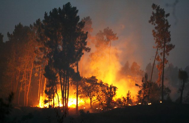 Portugal terá pago três vezes mais em contratos para combate a incêndios