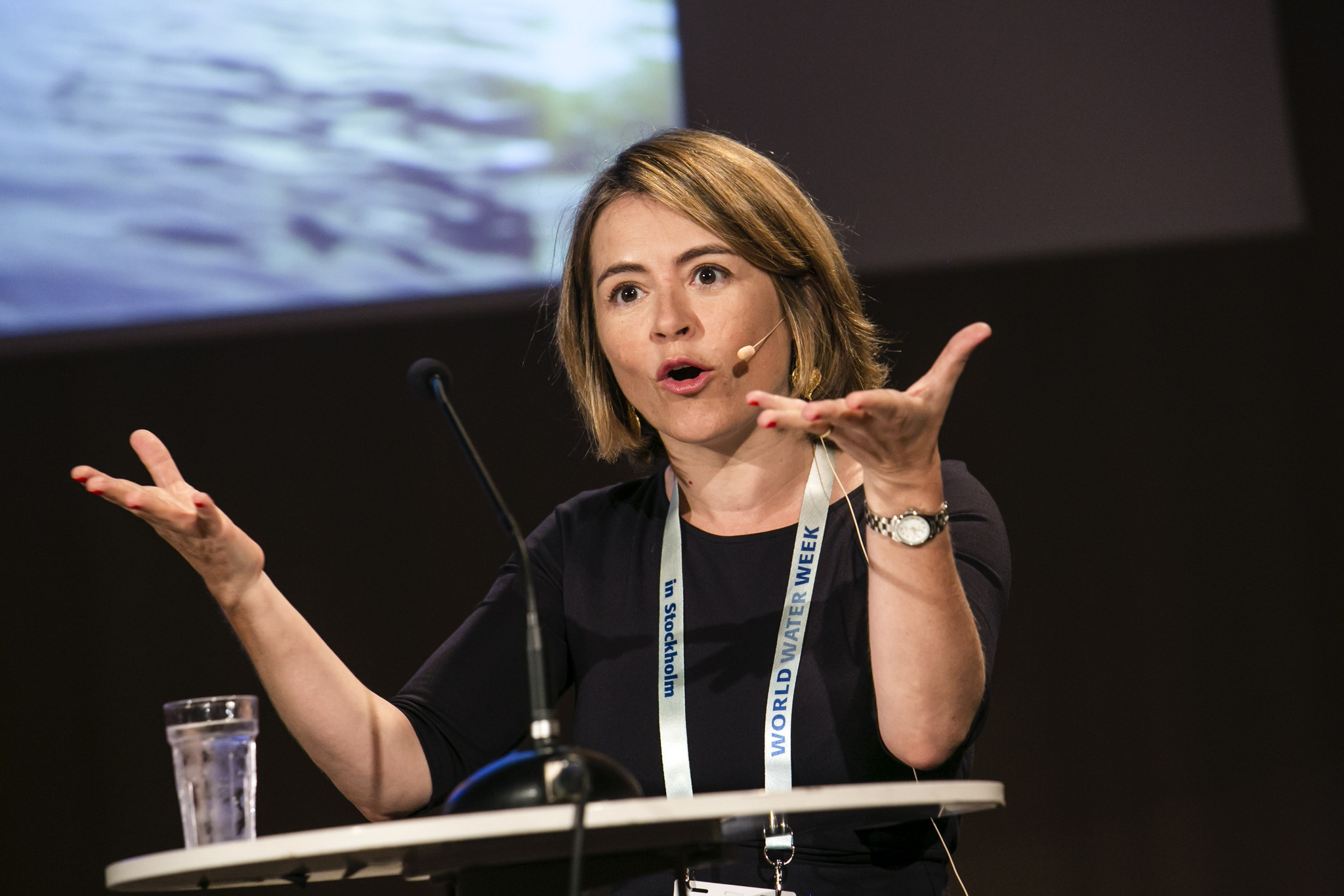 Catarina Albuquerque: A embaixadora da água