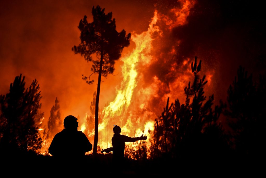 Proteção Civil contesta relatório da comissão independente sobre incêndios