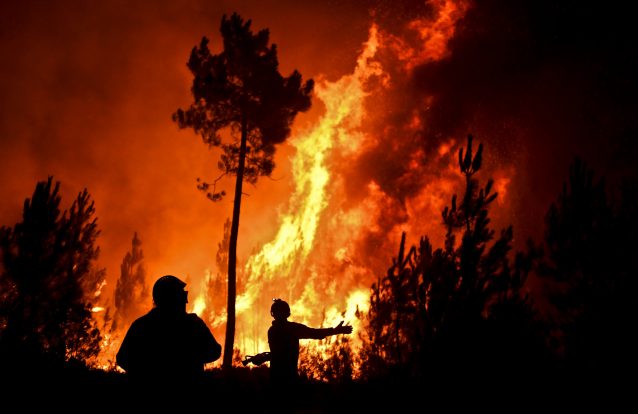 Proteção Civil contesta relatório da comissão independente sobre incêndios