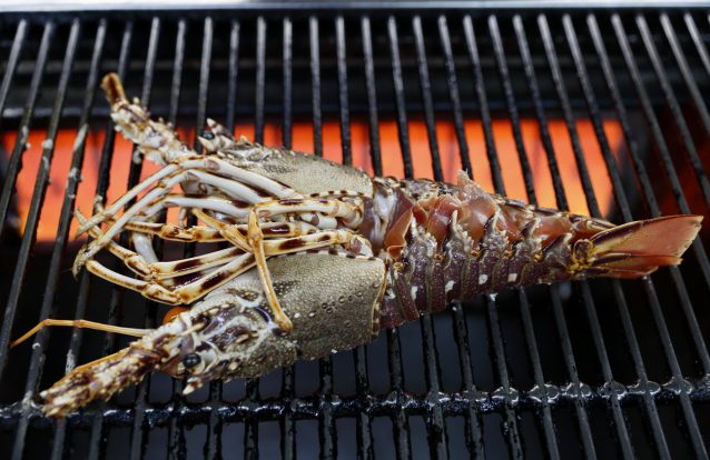 Puxar pelas brasas: nove sugestões de pratos que vão à grelha