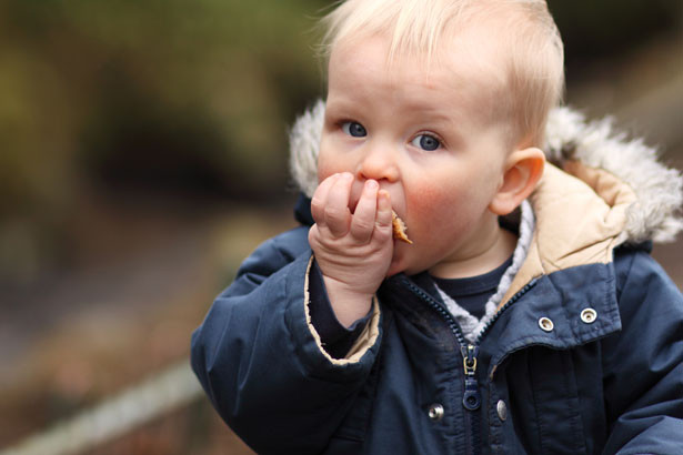 Quando se deve introduzir o glúten na alimentação das crianças?