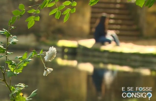 "Quem te ama, não te agride"