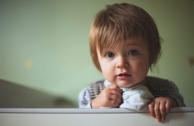 Químicos perigosos encontrados em várias comidas para bebés