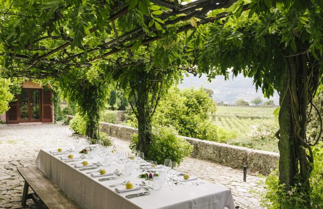 Quinta de Covela: Passeios pelo Douro verde