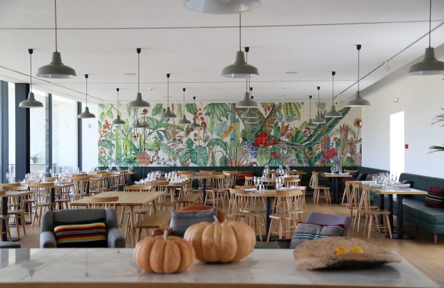 Quinta do Quetzal: Onde a arte, o vinho e a comida se cruzam