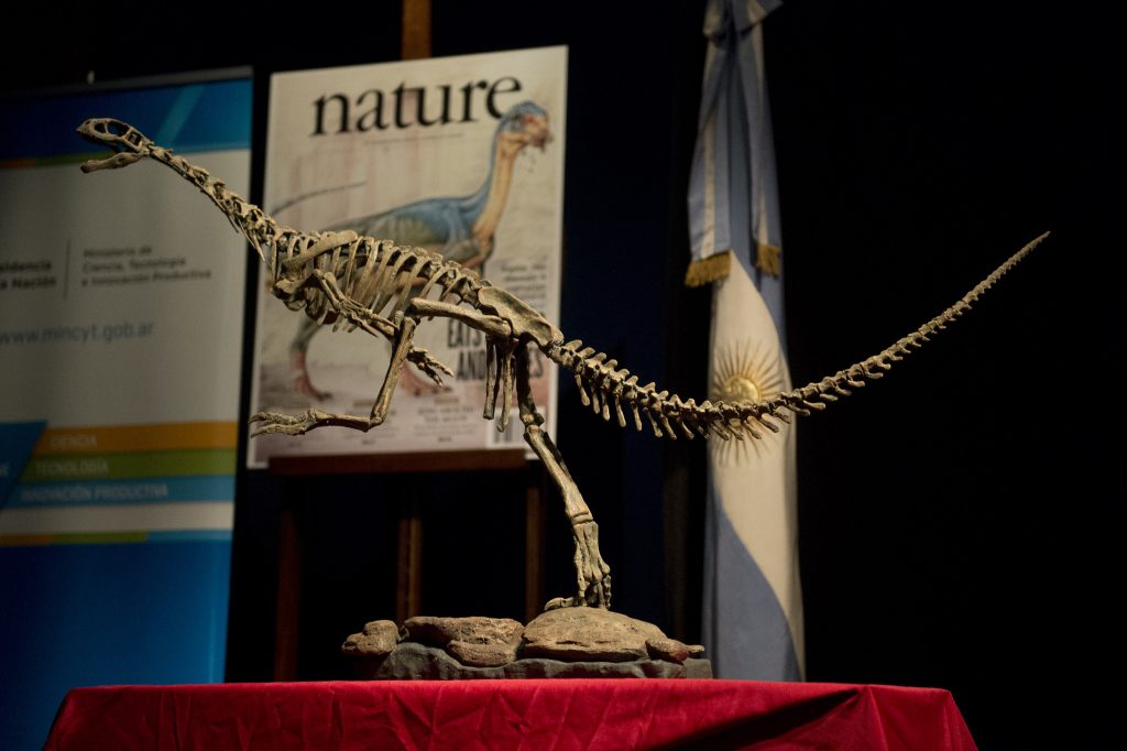 Resolvido o mistério do dinossauro "Frankenstein”, o elo que faltava na história