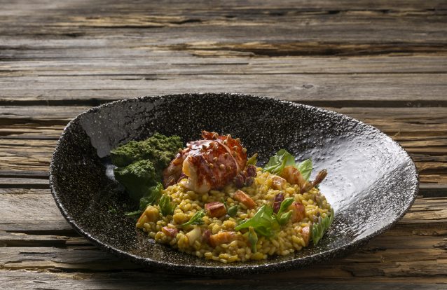 Restaurante Pesca: Nem tudo o que vem à rede