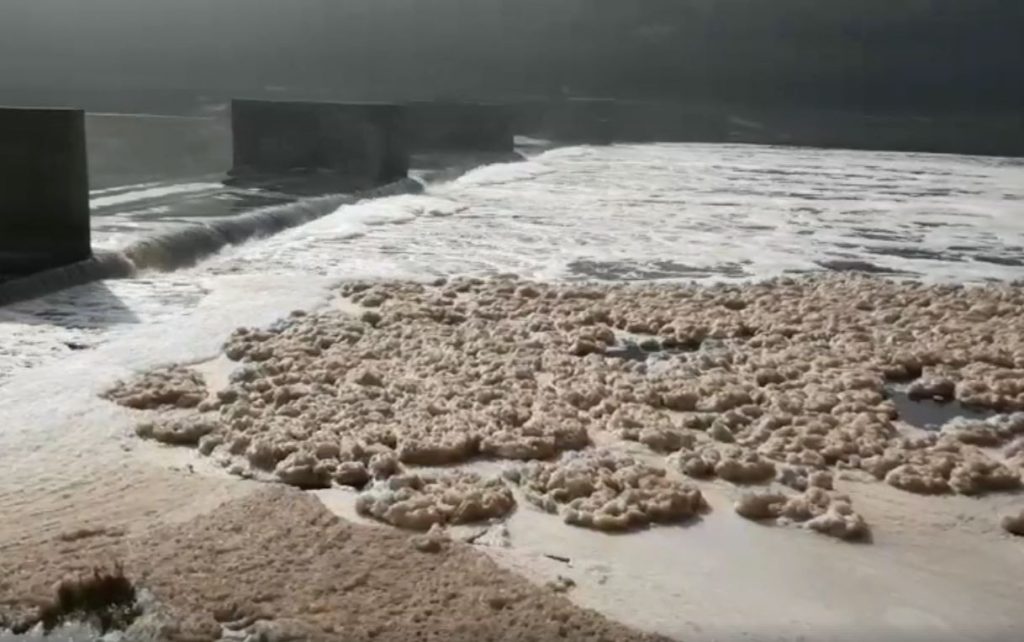 Rio Tejo acordou castanho em Abrantes