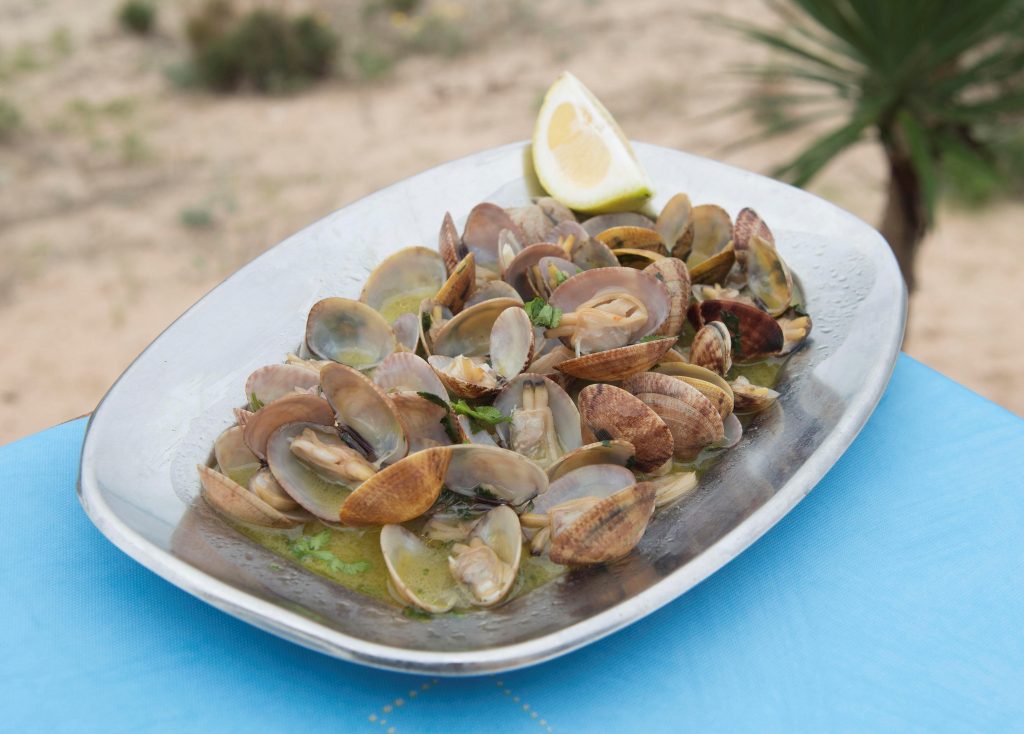 Saborear o mar no restaurante Oásis, em Vila Nova de Milfontes