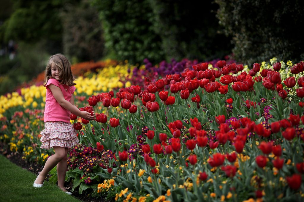 Saiba porque a Primavera é cada vez mais precoce 