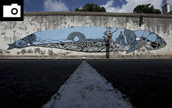 São Miguel: Uma ilha às cores 20