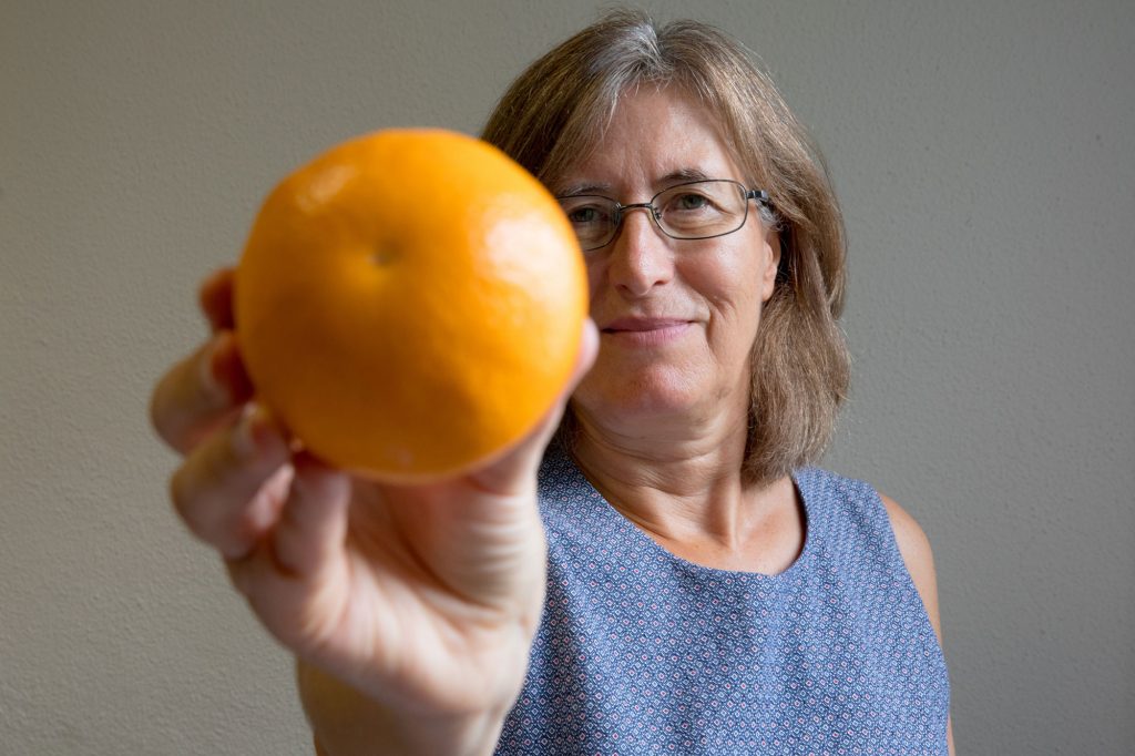 Se cada uma das 4 milhões de famílias de Portugal deitar para o lixo uma laranja por semana, isso significa 16 800 toneladas  de desperdício
