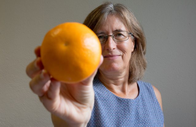 Se cada uma das 4 milhões de famílias de Portugal deitar para o lixo uma laranja por semana, isso significa 16 800 toneladas  de desperdício