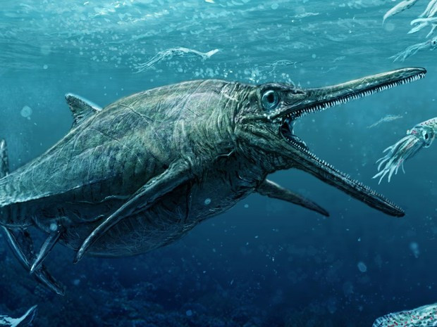 Seria este o tetravô do monstro de Loch Ness?