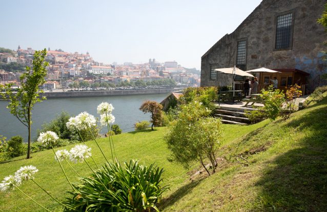 Shiuuu, não conte a ninguém: há um jardim escondido nas caves Churchill’s com vista para o Douro