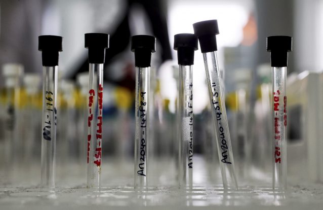 SNS - Inovação e equidade no uso de medicamentos