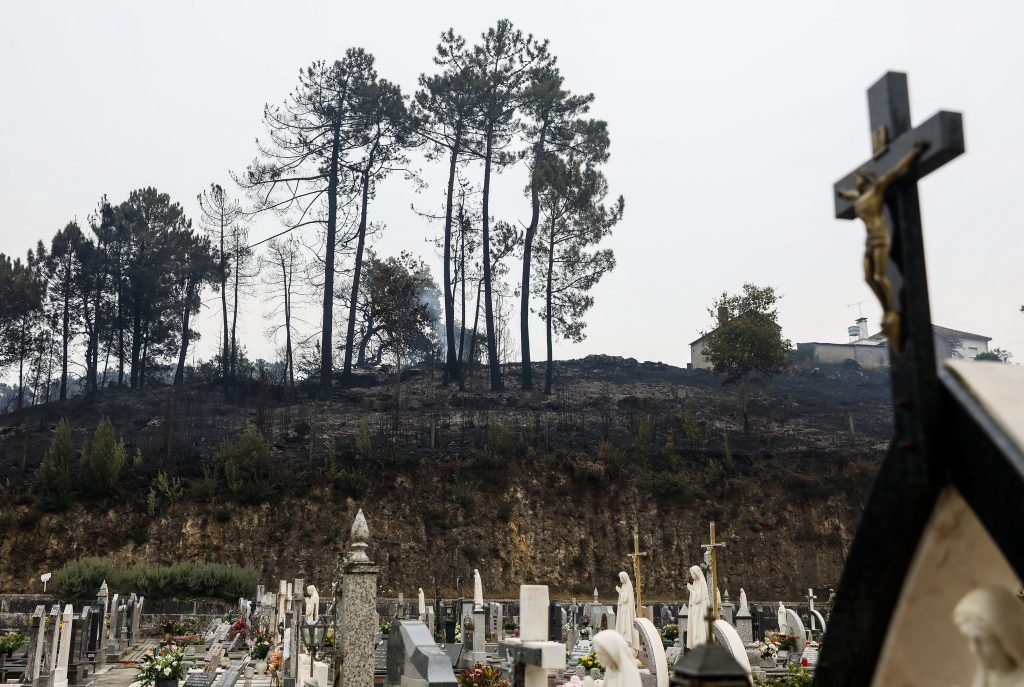 Só este ano já morreu mais gente nos fogos como nos 16 anos anteriores