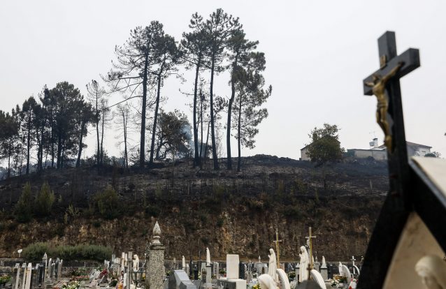 Só este ano já morreu mais gente nos fogos como nos 16 anos anteriores