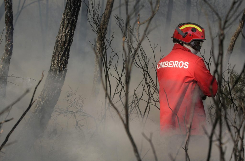 Solidários, mas só quando tudo arde?